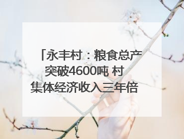 永丰村：粮食总产突破4600吨 村集体经济收入三年倍增｜牵挂的村