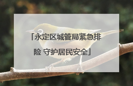 永定区城管局紧急排险 守护居民安全