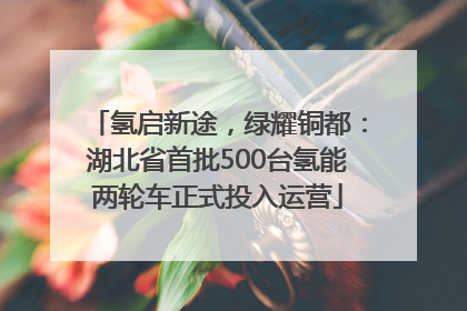 氢启新途，绿耀铜都：湖北省首批500台氢能两轮车正式投入运营