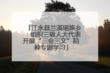 江永县兰溪瑶族乡：组织三级人大代表开展“三会三文”精神专题学习