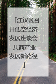 江汉区召开低空经济发展座谈会 共商产业发展新路径