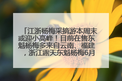 江浙杨梅采摘游本周末或迎小高峰！目前在售东魁杨梅多来自云南、福建，浙江露天东魁杨梅6月中旬大量上市