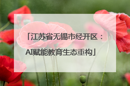 江苏省无锡市经开区：AI赋能教育生态重构