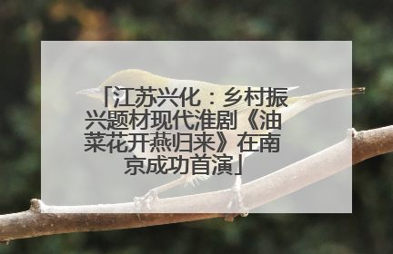江苏兴化：乡村振兴题材现代淮剧《油菜花开燕归来》在南京成功首演