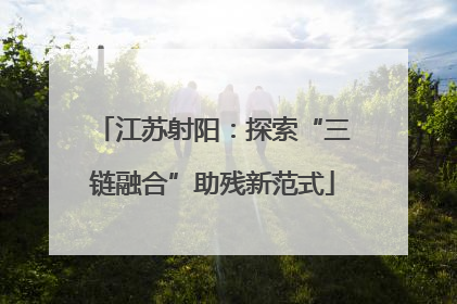 江苏射阳：探索“三链融合”助残新范式