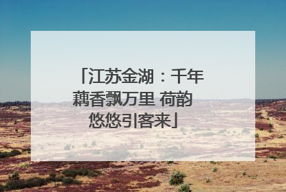 江苏金湖：千年藕香飘万里 荷韵悠悠引客来