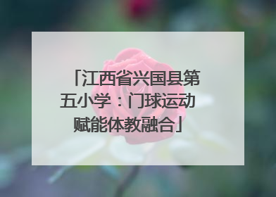江西省兴国县第五小学：门球运动赋能体教融合