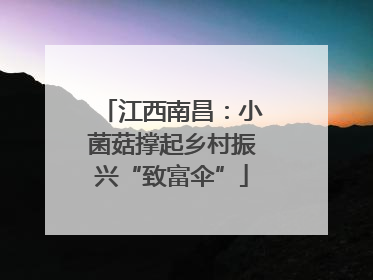 江西南昌：小菌菇撑起乡村振兴“致富伞”
