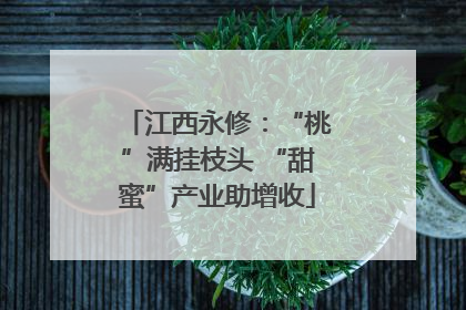 江西永修：“桃”满挂枝头 “甜蜜”产业助增收