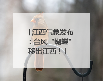 江西气象发布：台风“蝴蝶”移出江西！