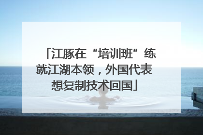江豚在“培训班”练就江湖本领，外国代表想复制技术回国