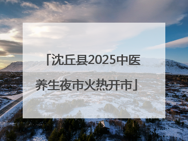 沈丘县2025中医养生夜市火热开市