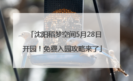 沈阳稻梦空间5月28日开园！免费入园攻略来了