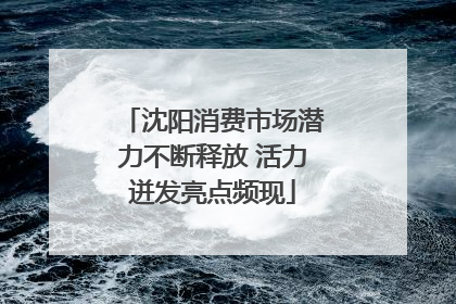 沈阳消费市场潜力不断释放 活力迸发亮点频现