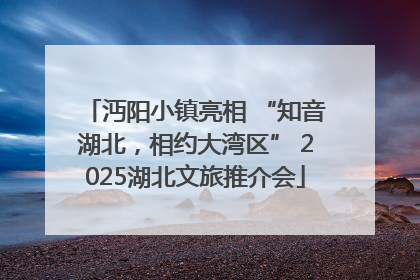 沔阳小镇亮相 “知音湖北，相约大湾区” 2025湖北文旅推介会