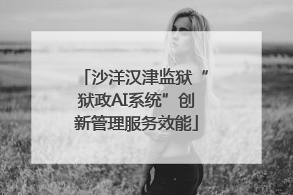 沙洋汉津监狱“狱政AI系统”创新管理服务效能
