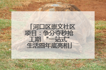 河口区崇文社区项目：争分夺秒抢工期 “一站式”生活圈年底亮相