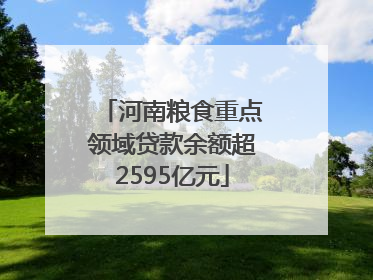 河南粮食重点领域贷款余额超2595亿元