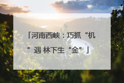 河南西峡：巧抓“机”遇 林下生“金”
