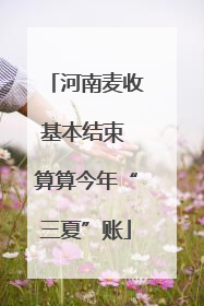 河南麦收基本结束 算算今年“三夏”账