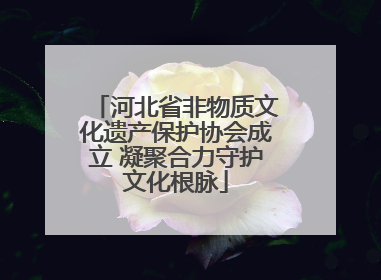 河北省非物质文化遗产保护协会成立 凝聚合力守护文化根脉