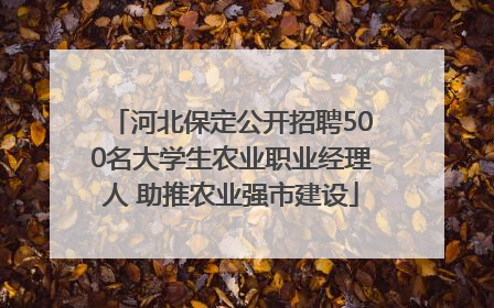 河北保定公开招聘500名大学生农业职业经理人 助推农业强市建设
