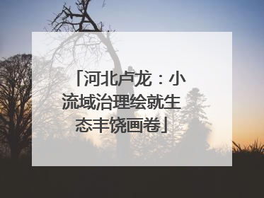 河北卢龙：小流域治理绘就生态丰饶画卷