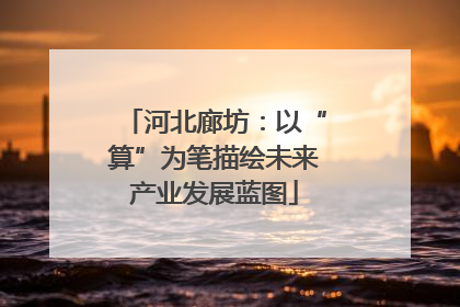 河北廊坊：以“算”为笔描绘未来产业发展蓝图