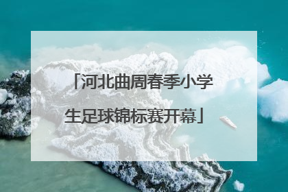 河北曲周春季小学生足球锦标赛开幕