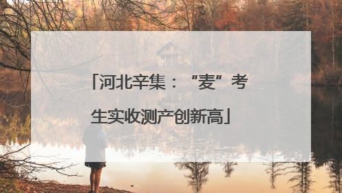 河北辛集：“麦”考生实收测产创新高