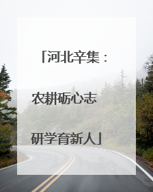 河北辛集：农耕砺心志 研学育新人