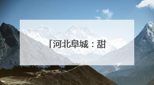 河北阜城：甜瓜飘香正当时