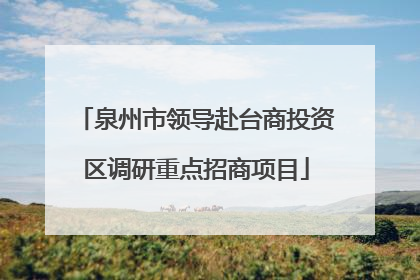 泉州市领导赴台商投资区调研重点招商项目
