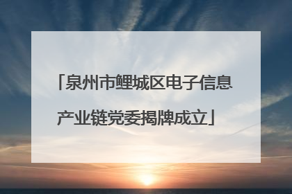 泉州市鲤城区电子信息产业链党委揭牌成立