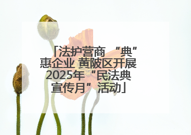 法护营商 “典”惠企业 黄陂区开展2025年“民法典宣传月”活动