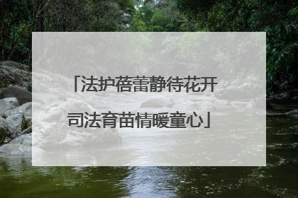法护蓓蕾静待花开 司法育苗情暖童心