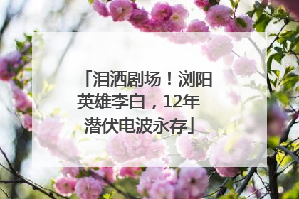 泪洒剧场！浏阳英雄李白，12年潜伏电波永存