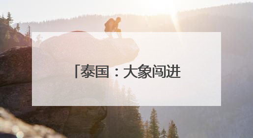 泰国：大象闯进便利店吃零食