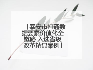 泰安市打通数据要素价值化全链路 入选省级改革精品案例