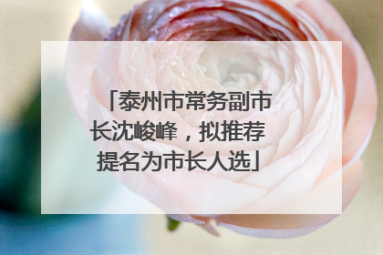 泰州市常务副市长沈峻峰，拟推荐提名为市长人选