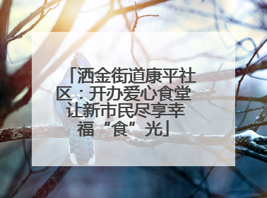 洒金街道康平社区：开办爱心食堂 让新市民尽享幸福“食”光
