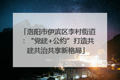 洛阳市伊滨区李村街道：“党建+公约”打造共建共治共享新格局