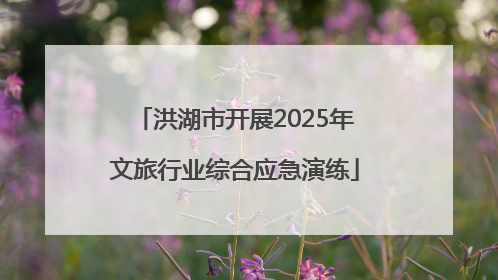 洪湖市开展2025年文旅行业综合应急演练