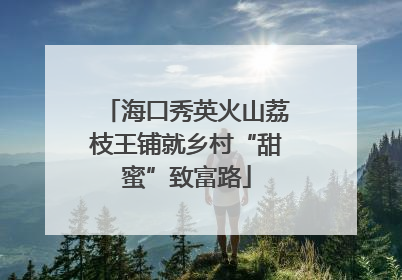 海口秀英火山荔枝王铺就乡村“甜蜜”致富路