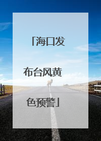 海口发布台风黄色预警