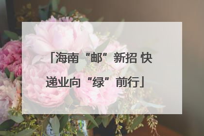 海南“邮”新招 快递业向“绿”前行