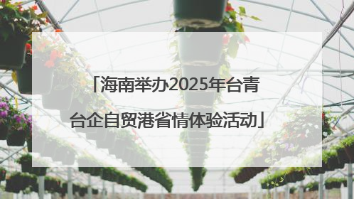 海南举办2025年台青台企自贸港省情体验活动