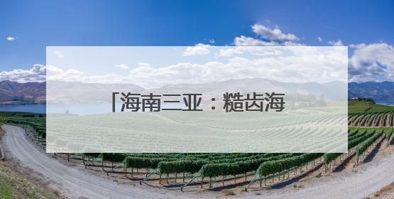 海南三亚：糙齿海豚被成功放归大海