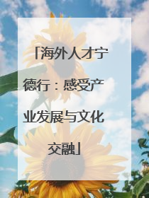 海外人才宁德行：感受产业发展与文化交融