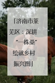 济南市莱芜区：深耕“一株桑” 绘就乡村振兴图